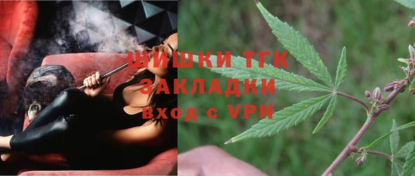 сатива Балахна