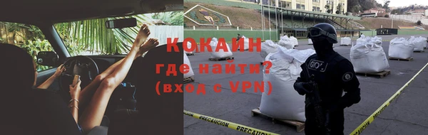 сатива Балахна