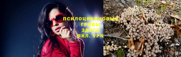 сатива Балахна
