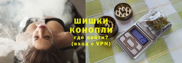 сатива Балахна